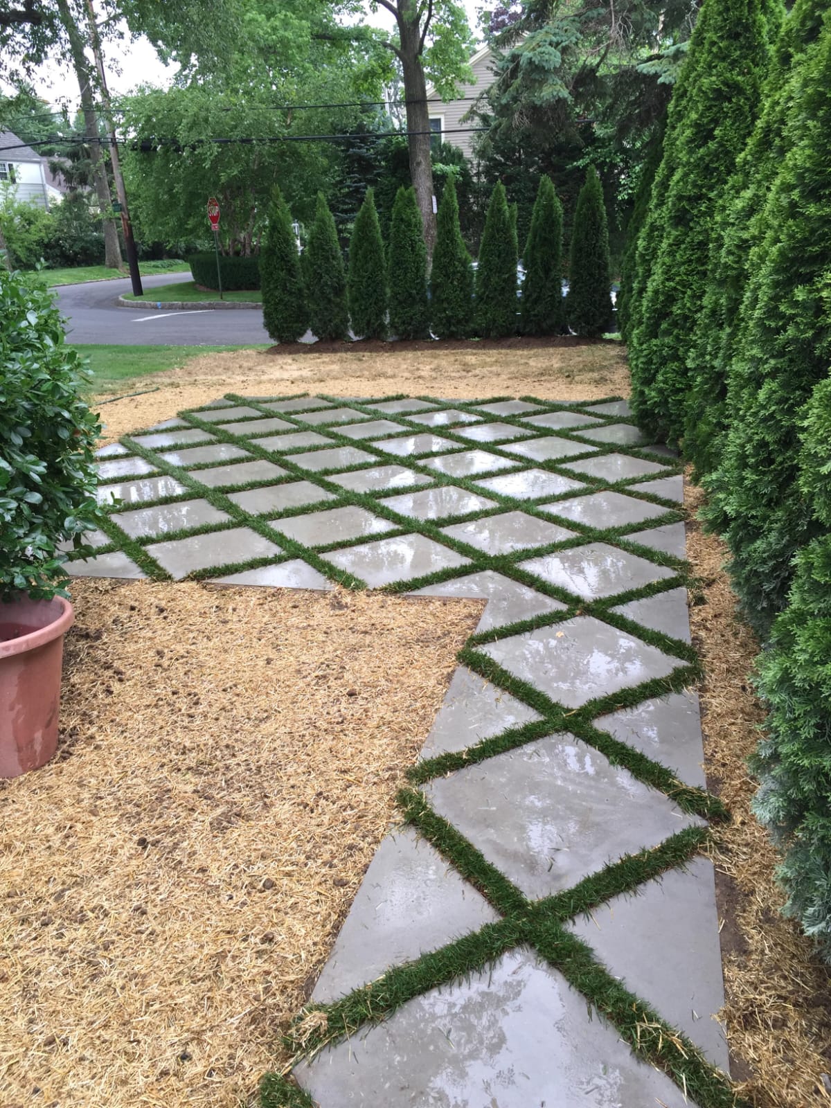 WhatsApp Image 2026-01-14 at 4.28.48 PM (3)